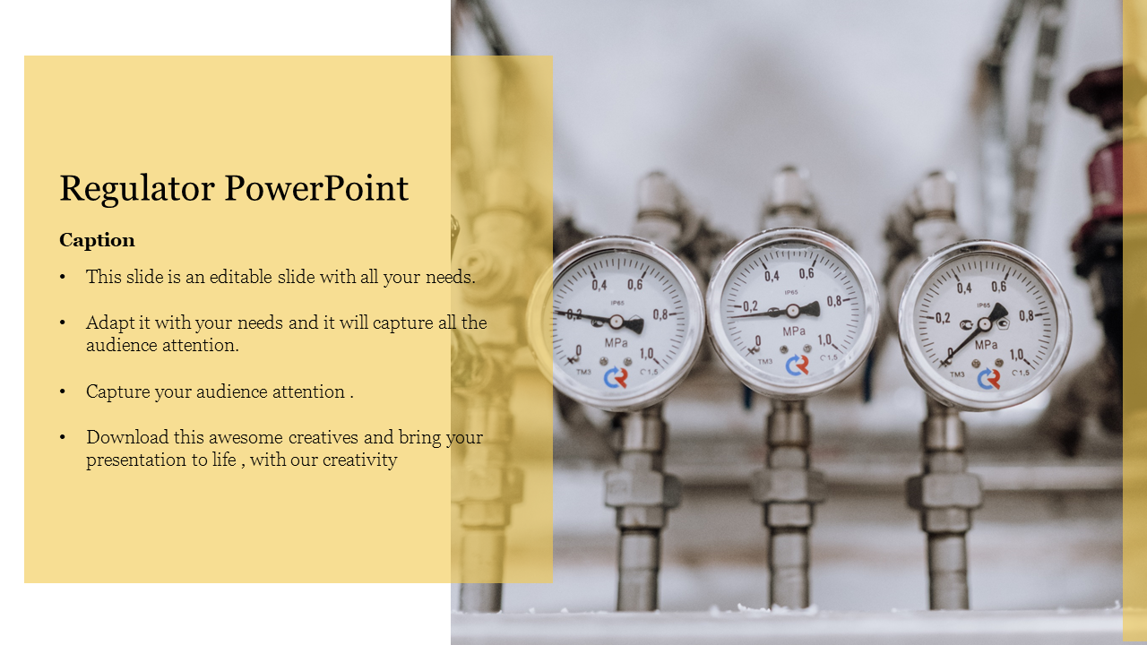 Download The Quality Regulator PowerPoint For Presentation